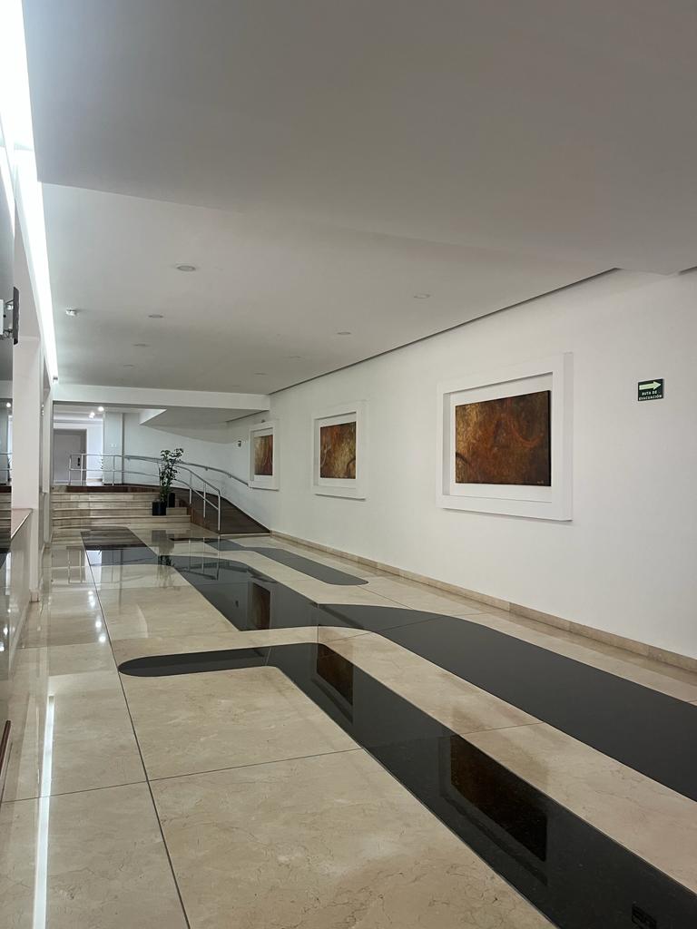 47DEPARTAMENTO DE LUJO EN VENTA LOMAS DE VISTA HERMOSA